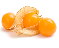 GOLDENBERRY