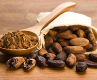 cacao