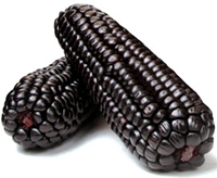 purple corn